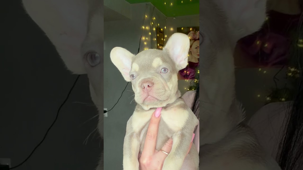 Эффектный , яркий , неповторимый 💯‼️📩