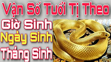 Tuổi TỴ Sinh GIỜ, NGÀY, THÁNG Nào Tốt Nhất? Vận Số Người Tuổi Tỵ Theo Giờ, Ngày, Tháng Sinh.