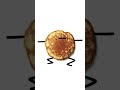 I’m a pancake