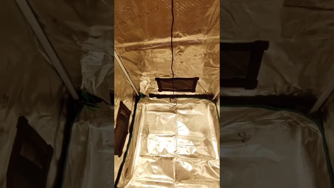 Mars Hydro FC-E1500 illuminates this cozy plant corner✨