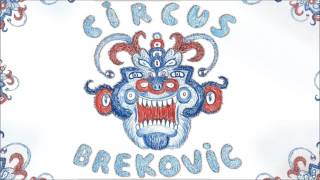 Circus Brekovic - Cara Van Core Net Worth