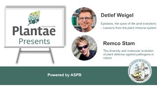 Plantae Presents - Detlef Weigel and Remco Stam