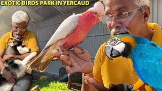 Birds park & ​​Pet farm at Peeku Park, Yercaud 😍| Rare birds!