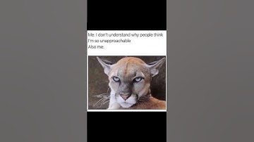 Introvert Memes only introverts can understand 😂#introvert#memes#introvertmemes#shorts#youtubeshorts