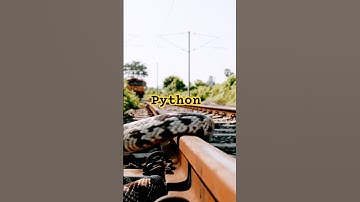 Python on track #python #train #amazing
