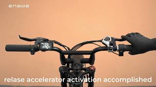 ENGWE M20 disable throttle，https://goo.by/LLWRjK