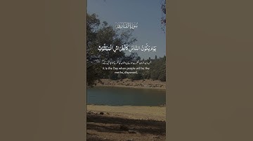 سورة القارعة بصوت خاشع  | Surah Al-Qari'ah with Beautiful Nature Scenery