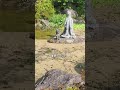 えっ 嘘でしょ 河童 発見 珍獣 イケプカ 長崎 カッパ えっ 嘘でしょ 河童 発見 珍獣 イケプカ 長崎 カッパ