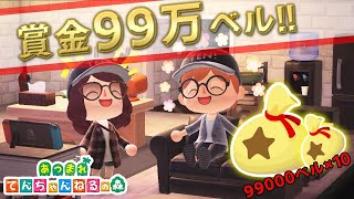 【初見さん大歓迎】てんちゃんねるハッピーホームアカデミー【あつまれどうぶつの森】
