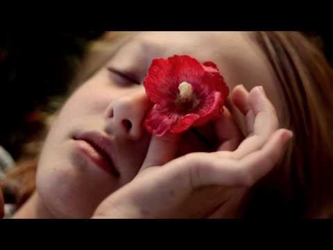 PRIMAVERA... TEMPO DE RENOVAÇÃO - Rosemary de Ross