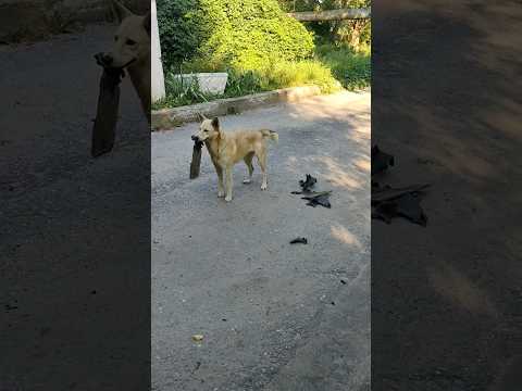Люблю свободный график