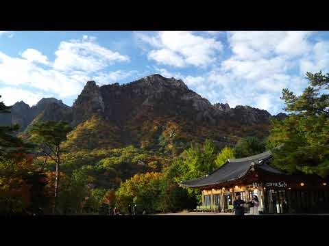 [4K Korea Walk] 설악산 단풍, 케이블카 2021년, Seoraksan Mountain <strong>autumn</strong> <strong>leaves</strong> scenery, Korea