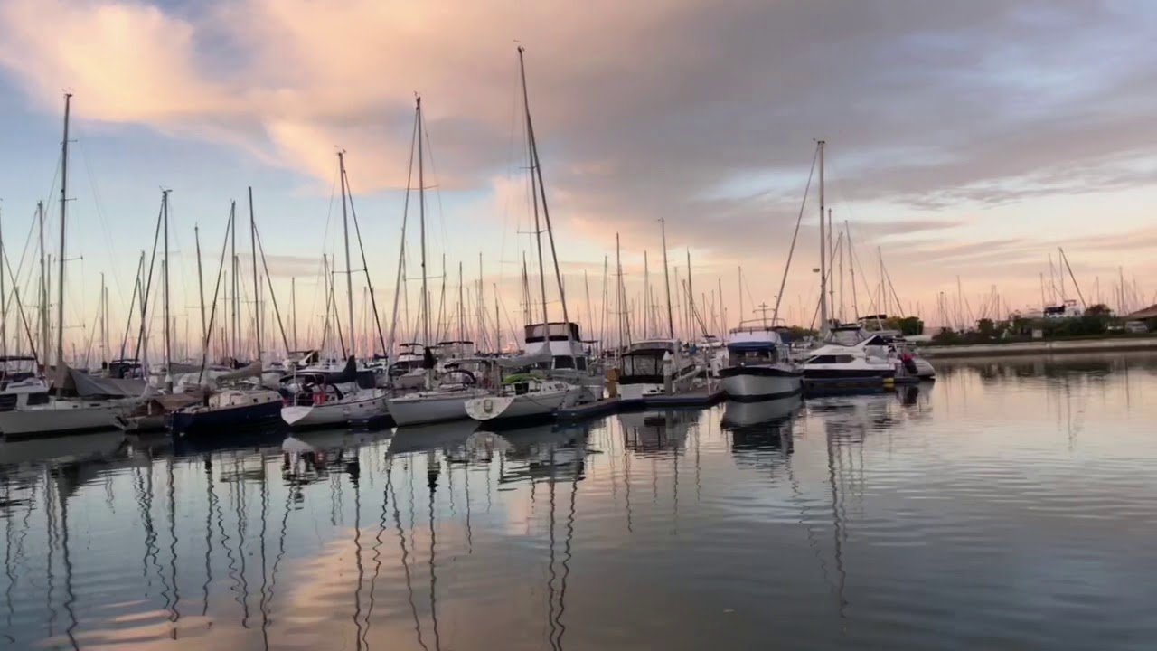 manly yacht club webcam