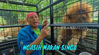 Pengalaman Si Gundul Jadi Koki Satwa Tawan Safari | JEJAK SI GUNDUL (06/07/26) P3