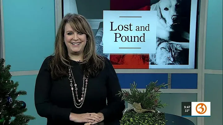 LOST & POUND: Chance, Rae Bell, Peter