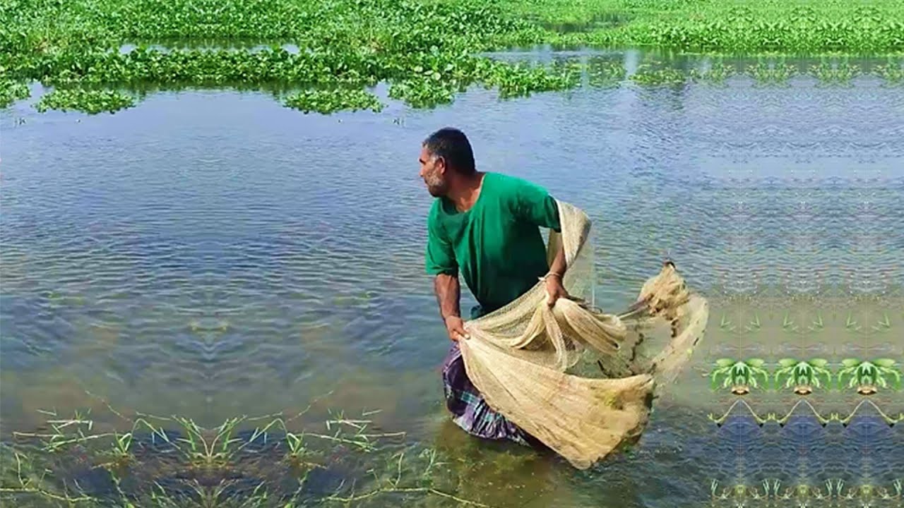 Best Net Fishing Video - New Net Fishing Video - Cast Net Fishing Video