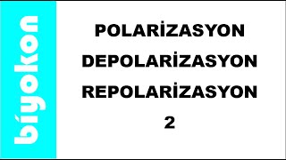 11. Sınıf / ayt / Polarizasyon , Depolarizasyon , Repolarizasyon - 2