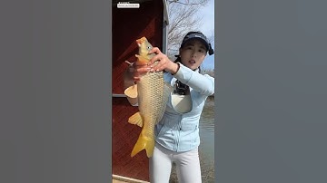 cô cần thủ xinh đẹp lấy cá chem chép đổi ngô để làm mồi câu của 2 bố con và cái kết  #fishing