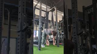 Ring Pike Pushup