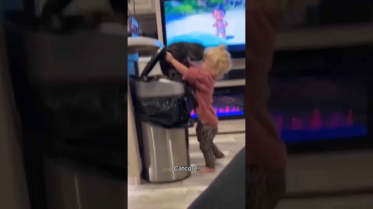 Funny CAT Moments 😂😂 episode 3822 