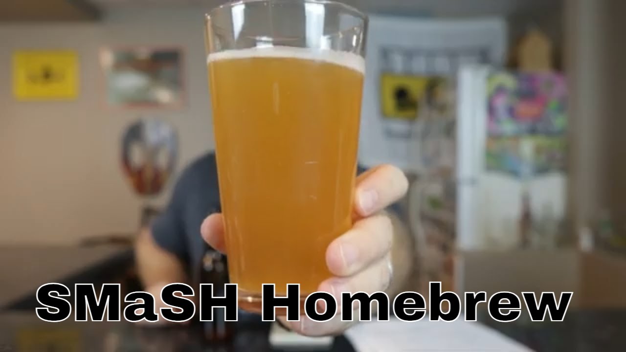 Homebrew SMaSH Beer Golden Promise and Citra Hops Tasting 3 YouTube
