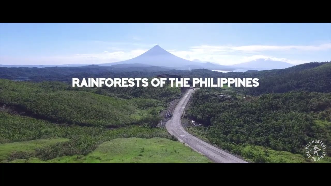 The Pili Hunters way, keto, vegan, paleo, sustainable.