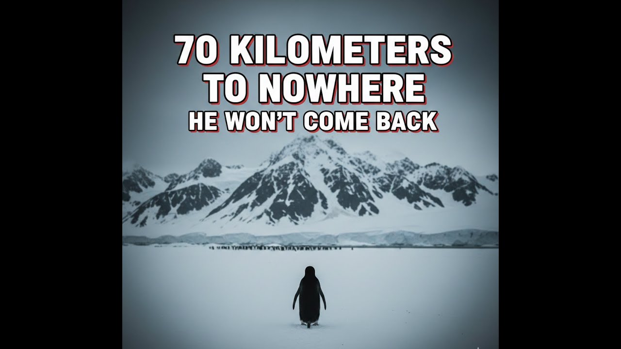 The Loneliest Journey: The Story of the Nihilist Penguin ❄️