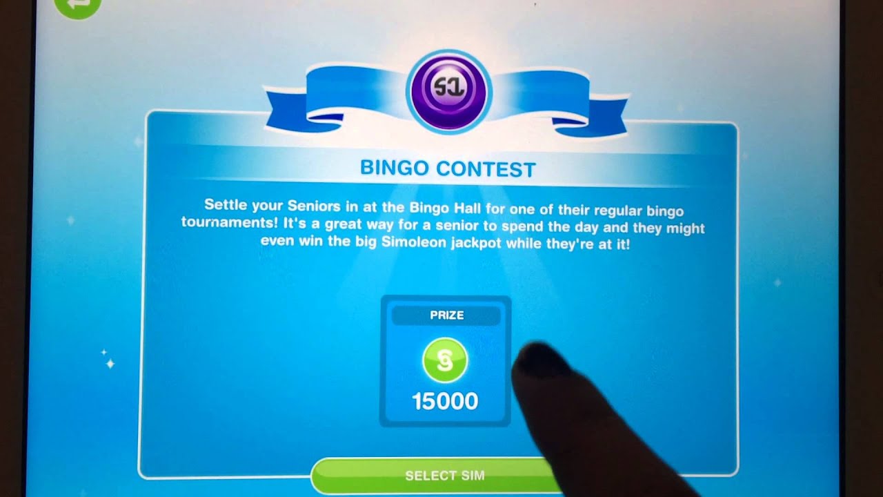 build bingo hall and bingo contest