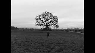 This Tree I Call Heaven