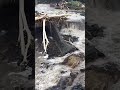 Section of highway in Hawaii destroyed after Hurricane Lala