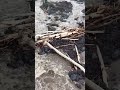 Section of highway in Hawaii destroyed after Hurricane Lala