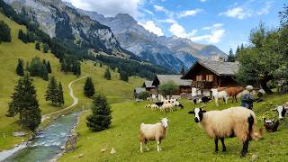 Peaceful Swiss Country Life | Harvesting Fresh Fruits, Vegetables and Raising Livestock
