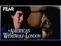 The Undead Movie Theatre | An American Werewolf In London