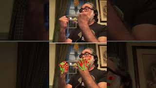 Media Pipe Hands Tracking in P5