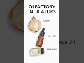 olfactory indicator (smell base indicator)