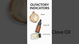 olfactory indicator (smell base indicator)