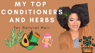 My TOP Deep Conditioners and Favorite Herbs for Natural Hair 2020