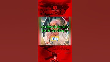CÁC NƯỚC ĐÃ NÓI GÌ VỀ BÁC HỒ CỦA CHÚNG TA… #bảocócvlog #bacho #bảocóc #baococvlogboss #shorts #xh