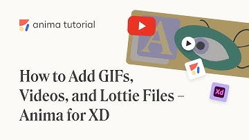 Add Videos, GIFs, and Lottie files - Anima for Adobe XD