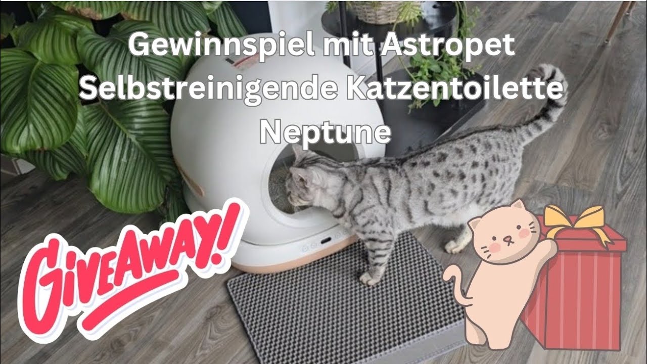 Die selbstreinigende Katzentoilette Neptune von Astropet  Verlosung   (werbung)