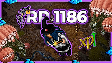 RP 1186 Hunt Solo Roshamuul West 7.5kk/h Raw + 1.6kk Profit - Tibia Hunt [13.17] #tibia #tibiahunt