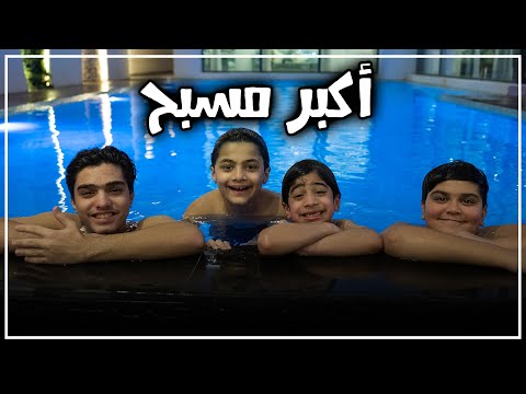 فيديو: فوائد زراعة النباتات في منزلك