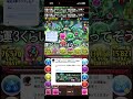 固定大樹チャレンジ終了 #パズドラ