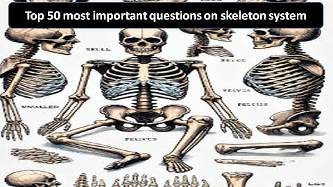 Ace Your Exams with These 50 Skeletal System MCQs | Skeletal System Masterclass