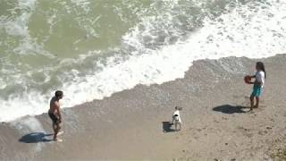 Sunny -  free music download]|free music|non copy right music by Rk.65|music that is not copyrighted screenshot 5