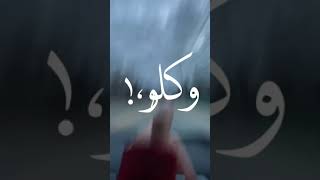 حالات واتس اب مهرجاناتحالات جديدة. ?اغاني مصرية. ? شاشة سوداء قصف جبهة 