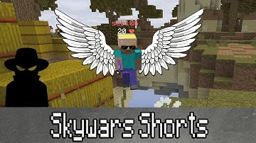 Minecraft: "Fly hacker meet" - Hypixel SkyWars Shorts #1