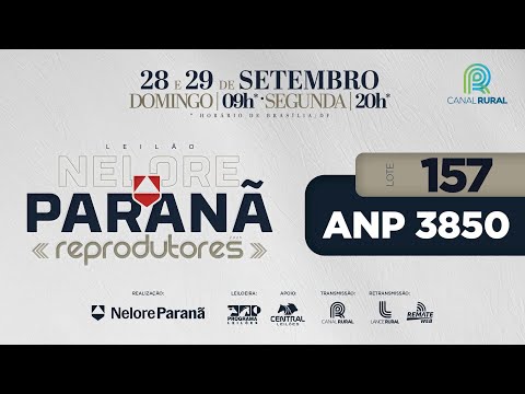 LOTE   157 ANP 3850