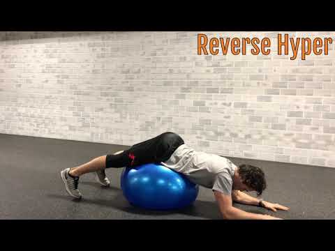 How-To: Stability Ball Reverse Hyper