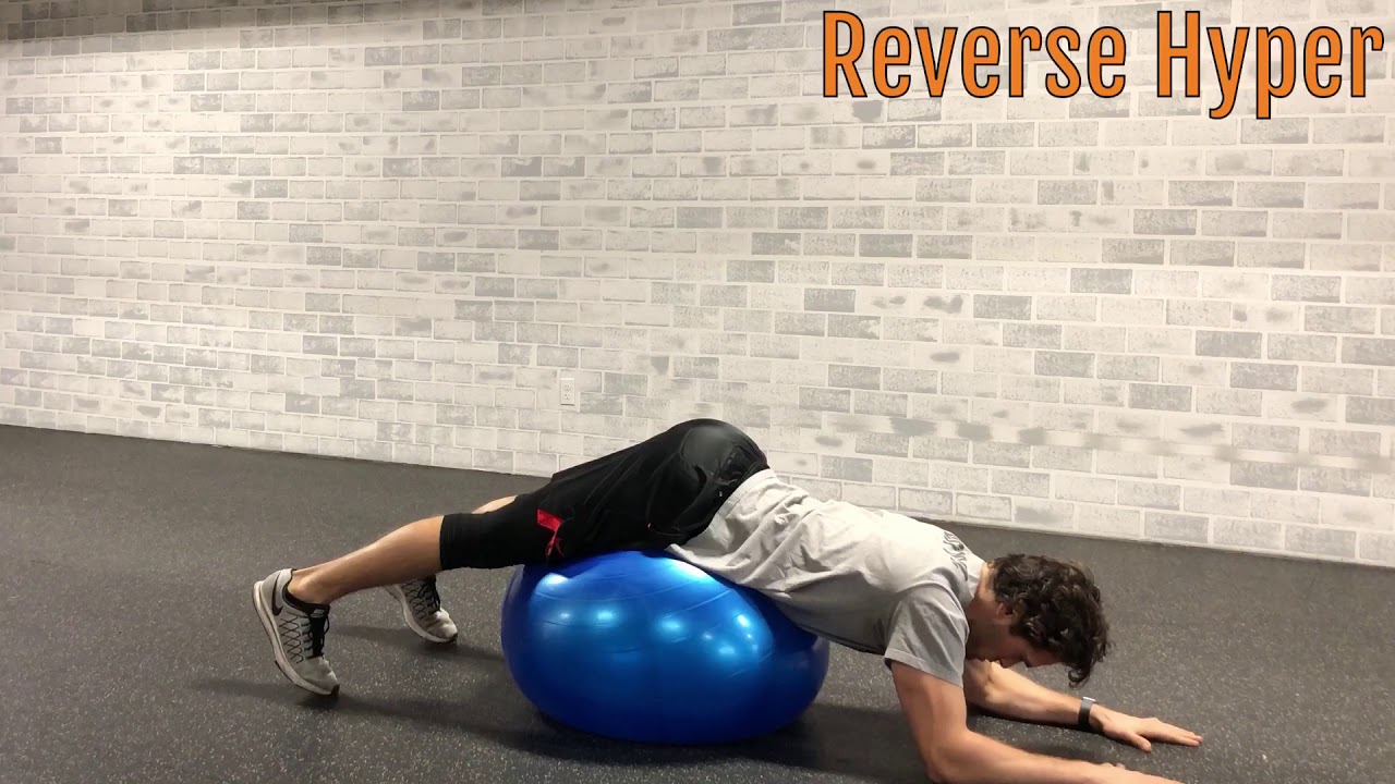 HowTo Stability Ball Reverse Hyper YouTube
